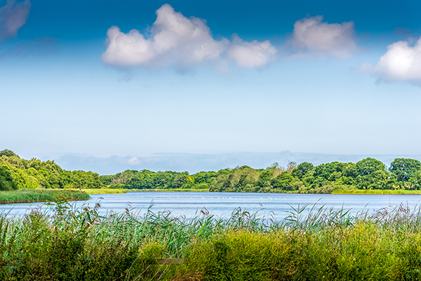 Photograph of Rollesby Broad, Norfolk